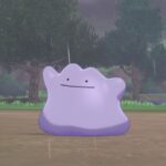 Homme arrêté après avoir utilisé 10 000$ en faux billets pour acheté des cartes Pokémon